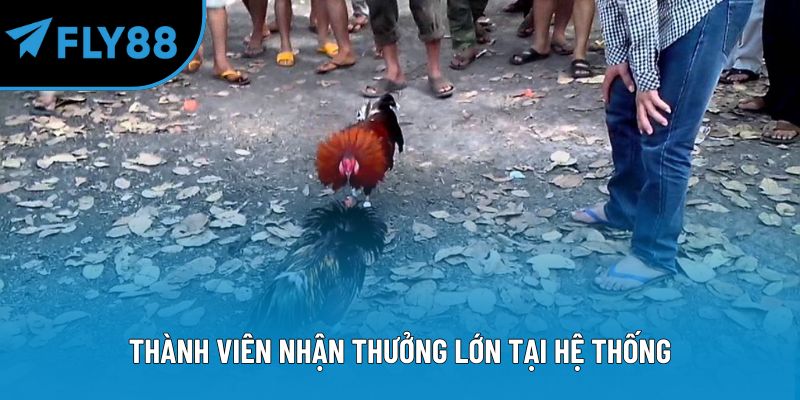 Thành viên nhận thưởng lớn tại hệ thống